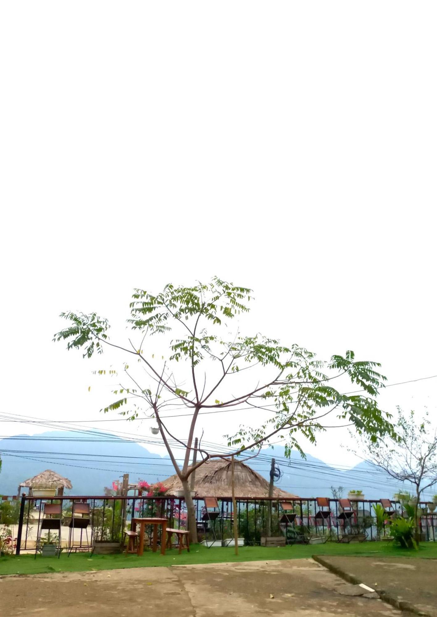 Puluong Bao Gia * Huong Ba Thuoc