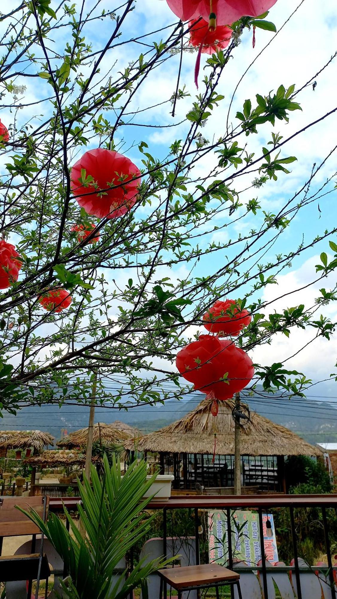 Puluong Bao Gia Homestay
